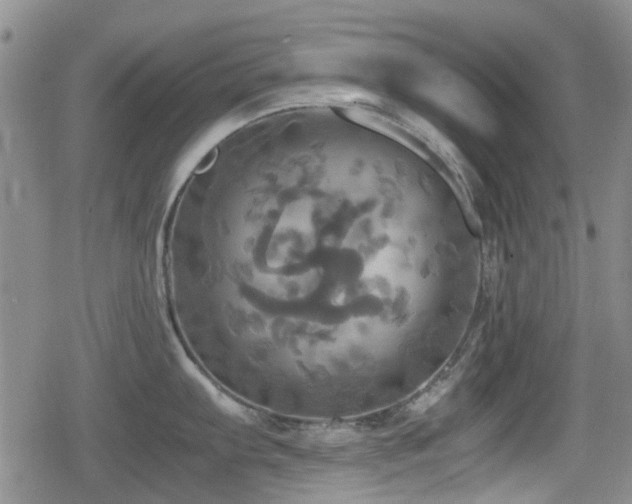 X0000080761103200612151403