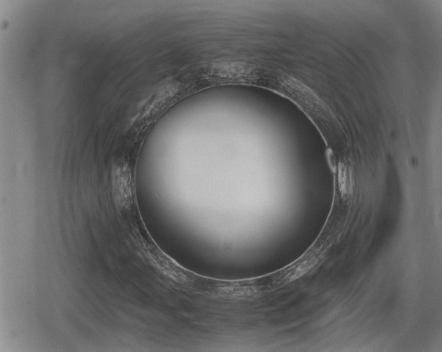 X0000080761107200612151402