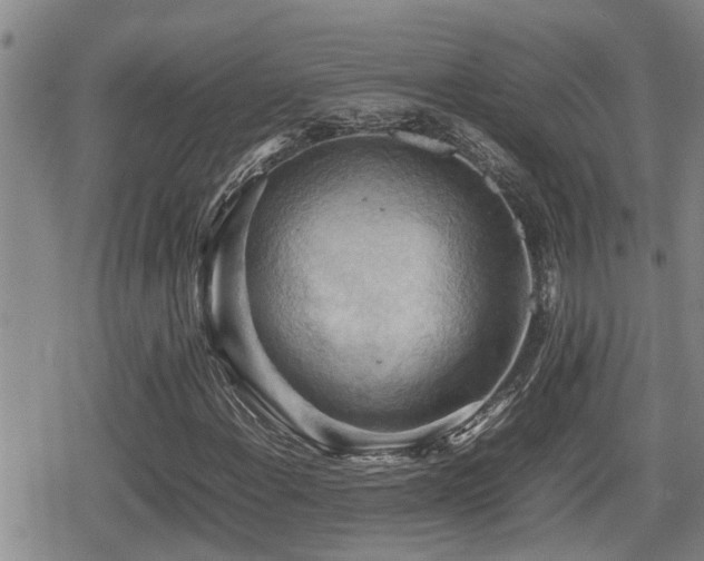 X0000080761108200612151402