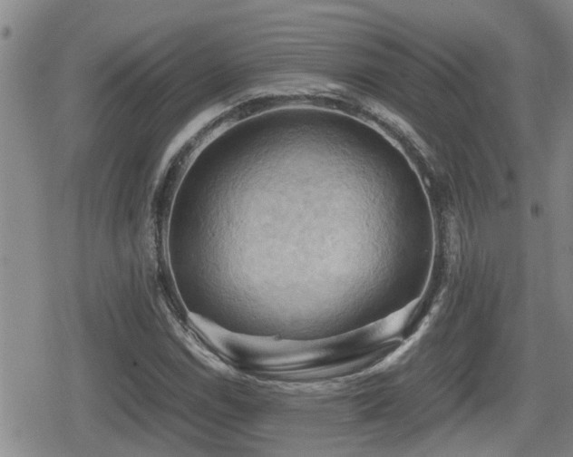 X0000080761114200612151403