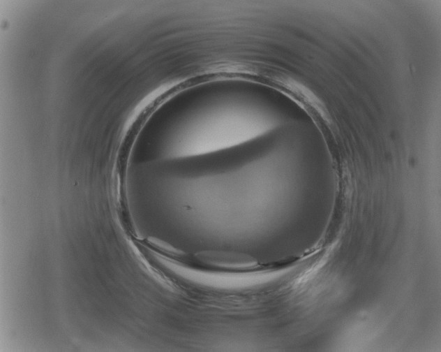 X0000080761125200612151403
