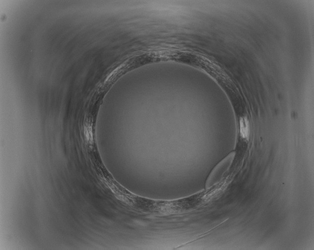 X0000080761155200612151402