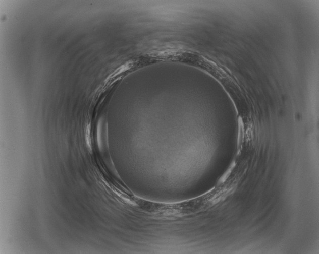 X0000080761156200612151402