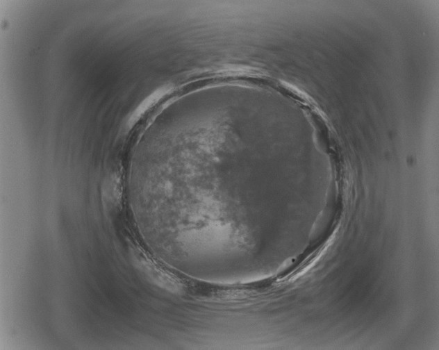 X0000080761163200612151402