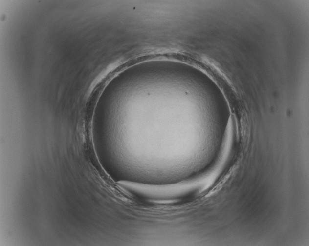 X0000080761165200612151402