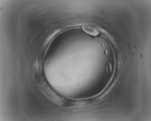 X0000080761177200612151402