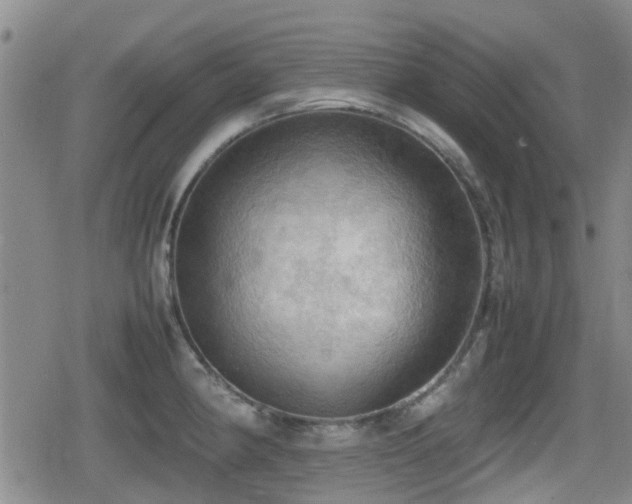 X0000080761190200612151402
