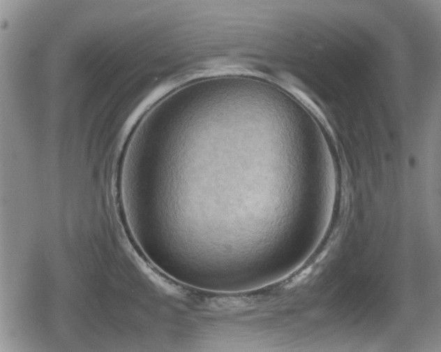 X0000080761197200612151402