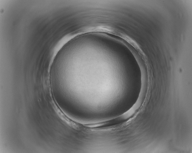 X0000080761200200612151402