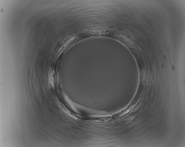 X0000080761202200612151401