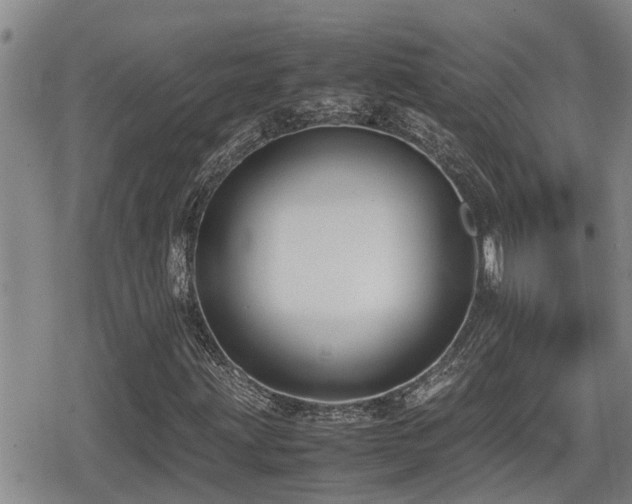 X0000080761203200612151401