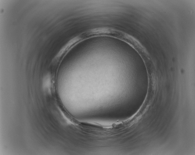 X0000080761225200612151401