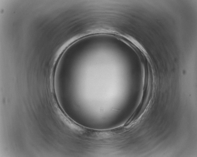 X0000080761246200612151402