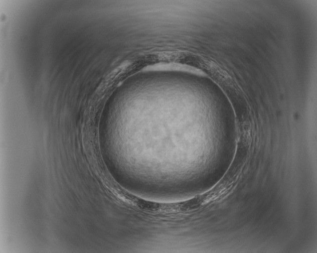 X0000080761249200612151401