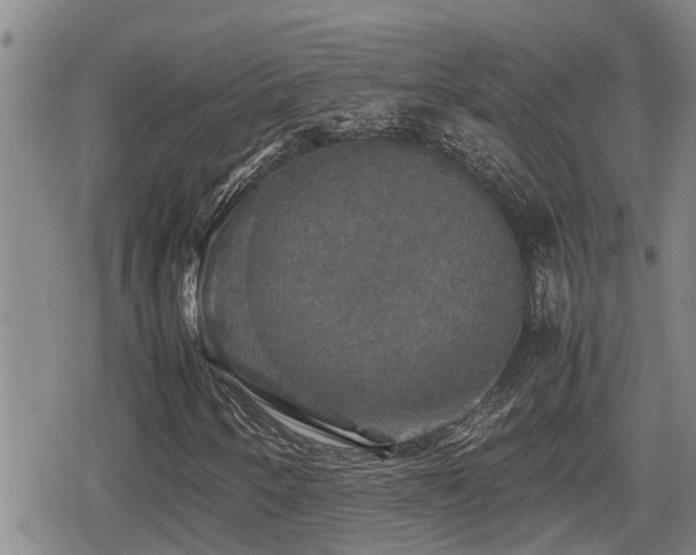 X0000080761250200612151401
