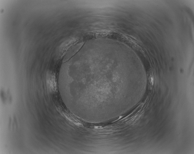 X0000080761252200612151401