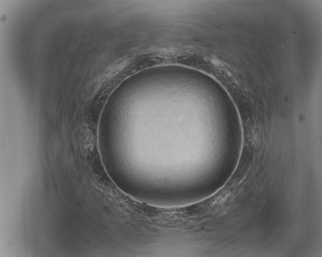 X0000080761253200612151401