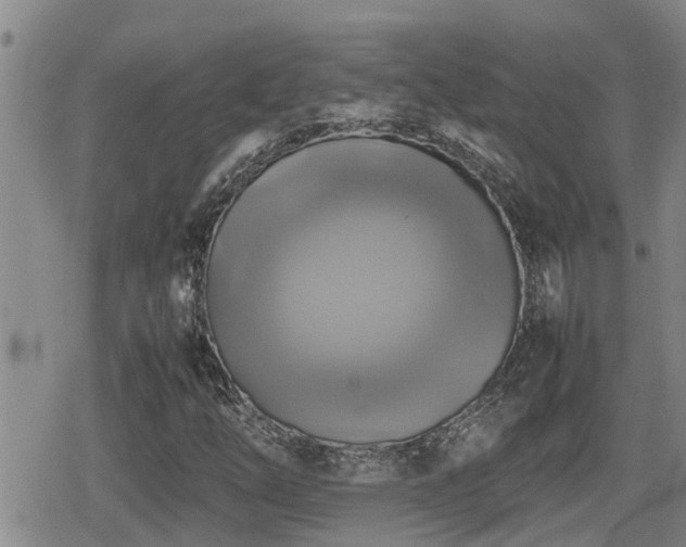 X0000080761254200612151401