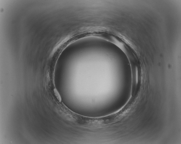 X0000080761261200612151401