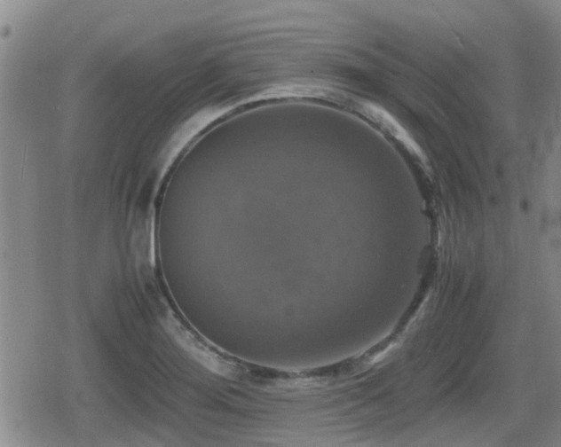 X0000080761276200612151400