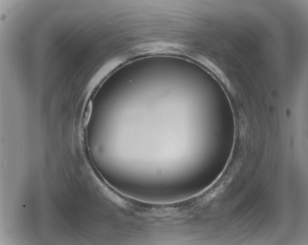 X0000080761285200612151400