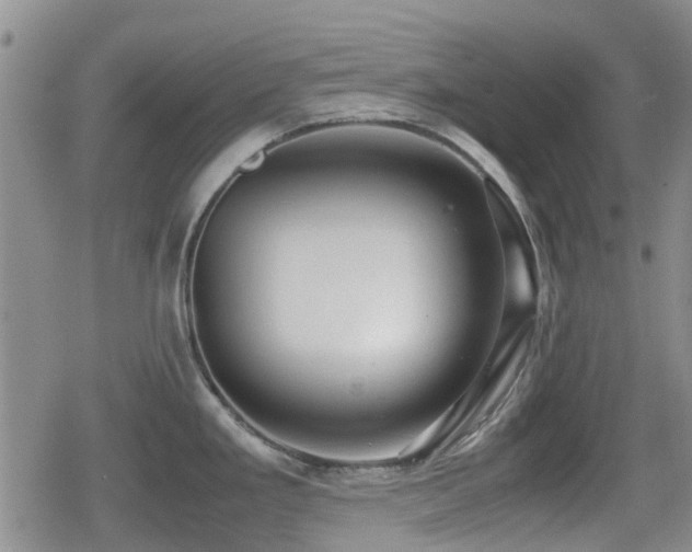 X0000080761293200612151400