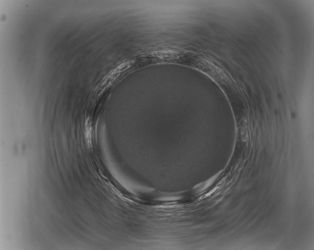 X0000080761298200612151359
