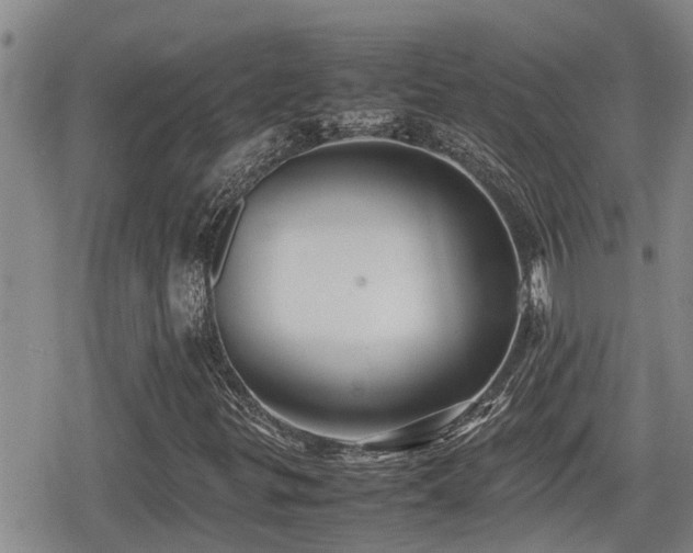 X0000080761299200612151359