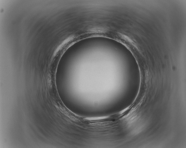 X0000080761307200612151359