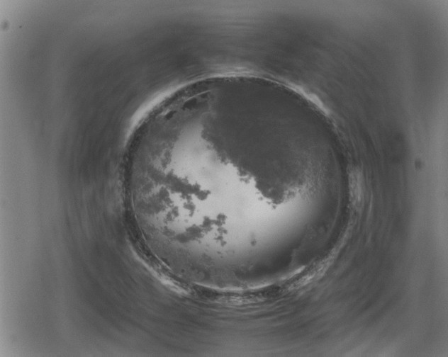 X0000080761311200612151400