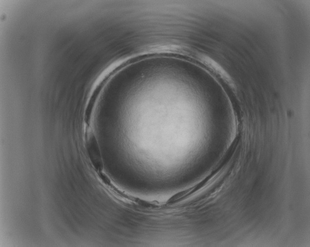 X0000080761324200612151400