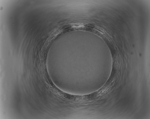 X0000080761345200612151359