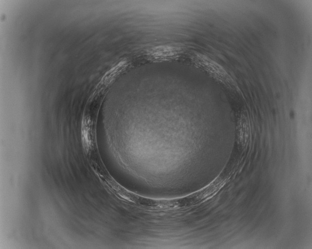 X0000080761346200612151359