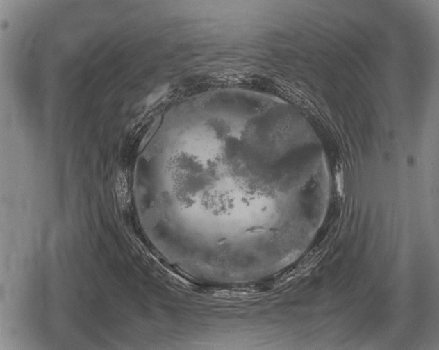 X0000080761347200612151359