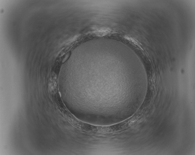 X0000080761349200612151359