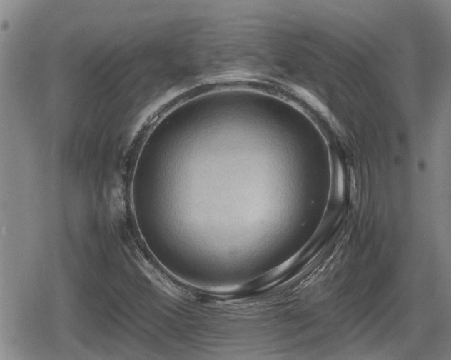 X0000080761356200612151359