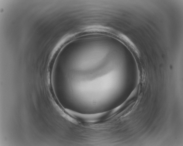 X0000080761376200612151359
