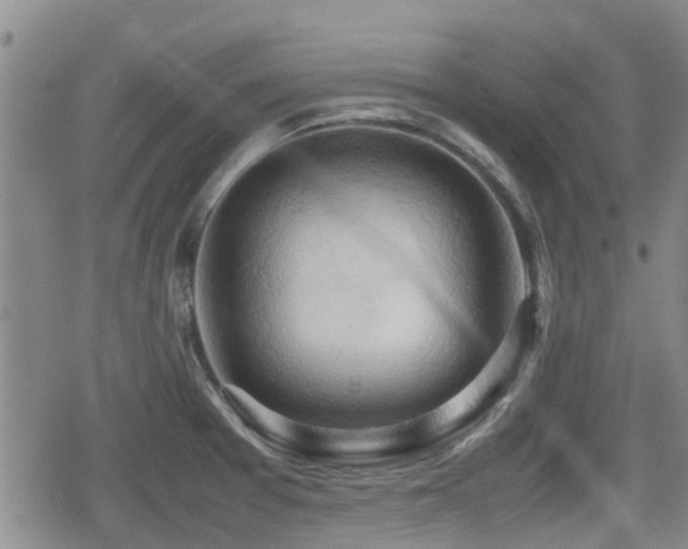 X0000080761377200612151359
