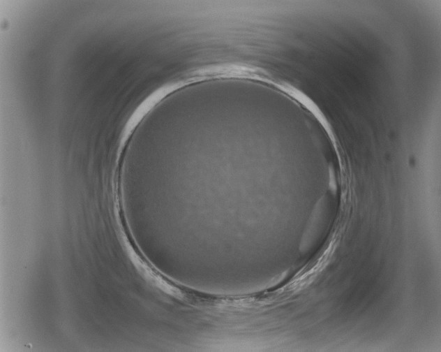 X0000080761389200612151359
