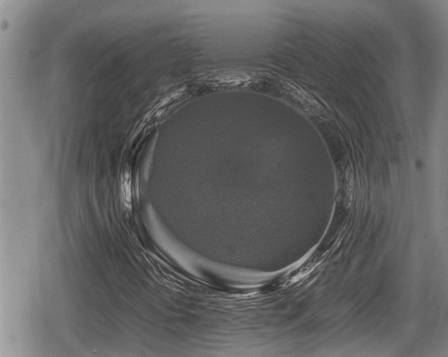 X0000080761394200612151358