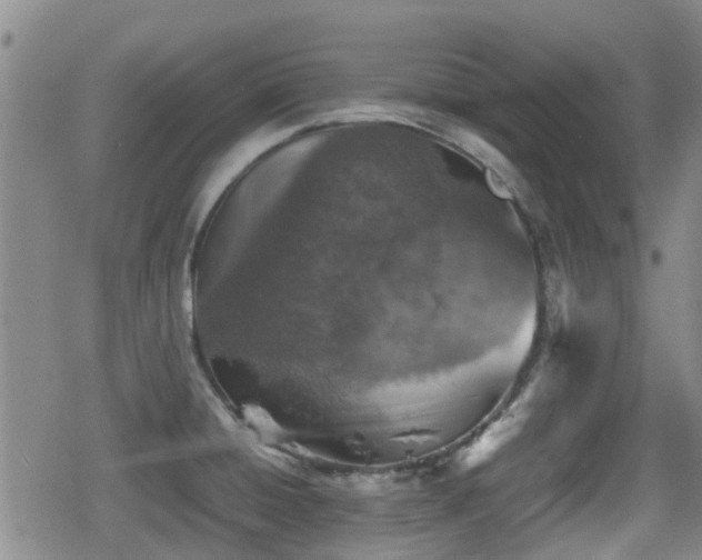 X0000080761428200612151358