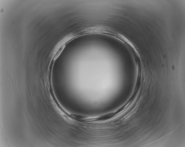 X0000080761434200612151358