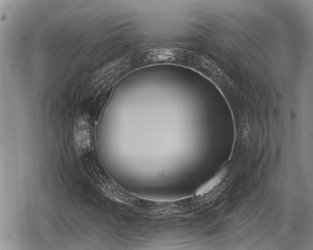 X0000080761442200612151358