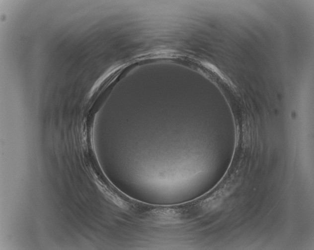 X0000080761450200612151358