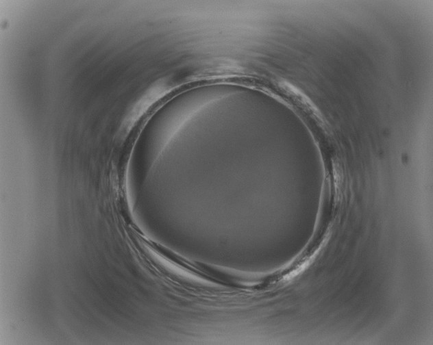 X0000080761457200612151358
