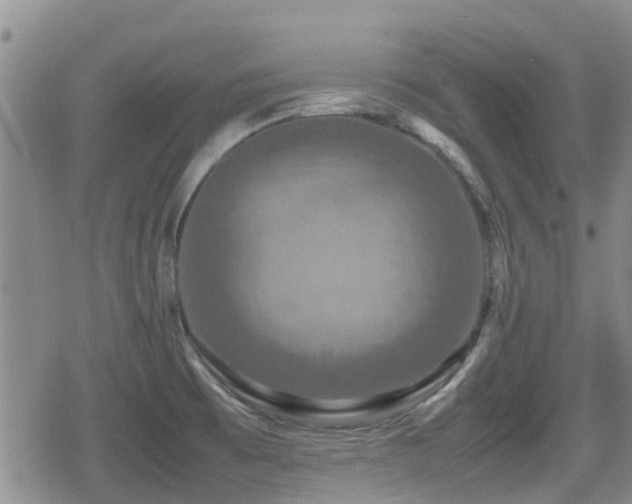 X0000080761473200612151357