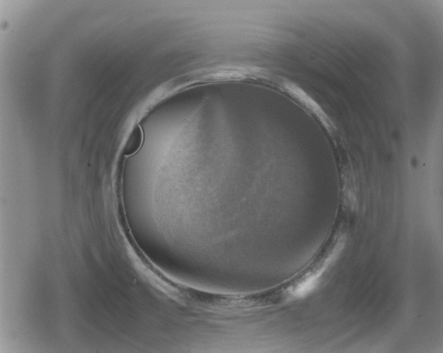 X0000080761475200612151357