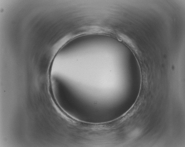 X0000080761479200612151357