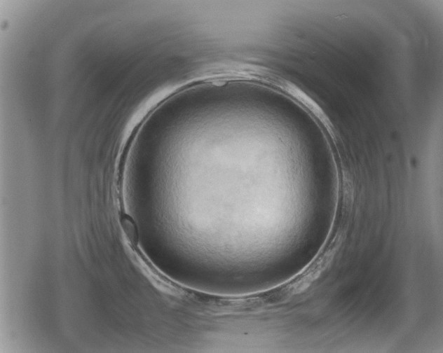 X0000080761485200612151357