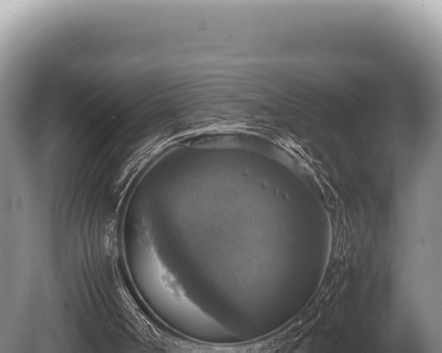 X0000080760002200612221422